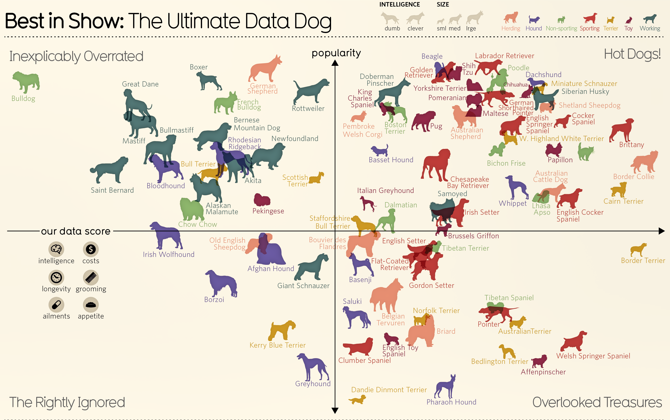 this is an informative graph about the different type of dog breeds